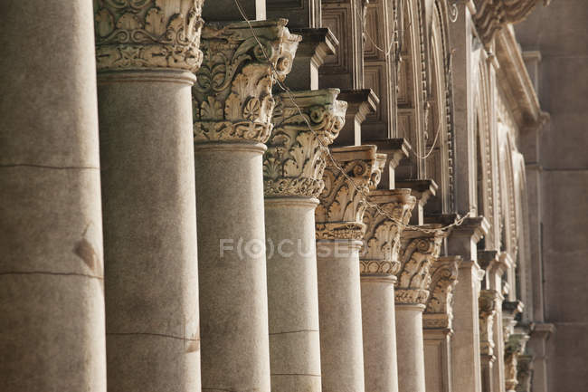 Tops of a row of columns — Stock Photo