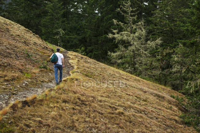 Mann wandert auf Berg — Stockfoto