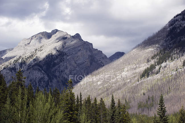Canadian rocky mountains — Stock Photo