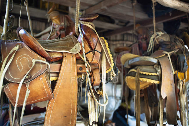 Saddles hung from the ceiling;Yelapa jalisco mexico — Stock Photo