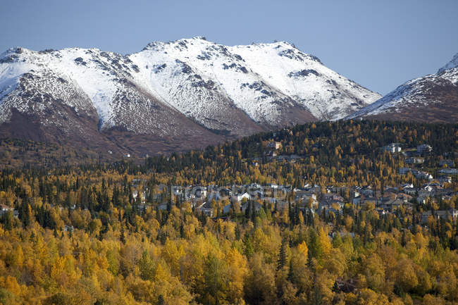 Anchorage's Residential Hillside — Stock Photo