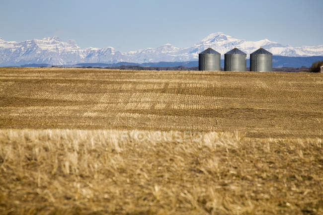 Металлические зерновые баки на соломенном поле — стоковое фото