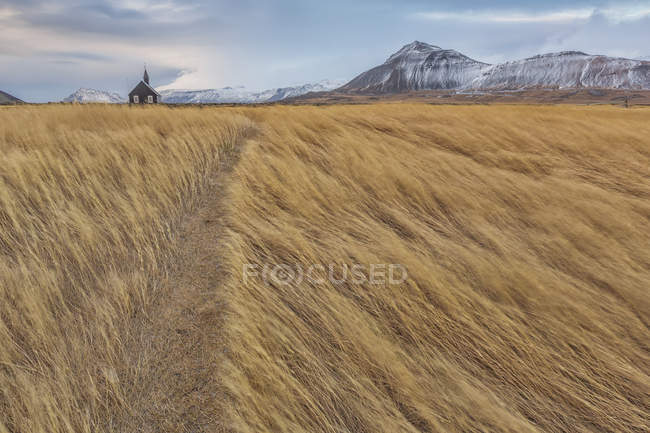 Os campos gramados e uma igreja — Fotografia de Stock