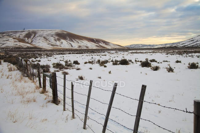 Колючий паркан на снігопадіння ландшафту — стокове фото