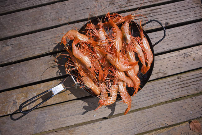 Fresh Caught Shrimp In A Pan over wooden surface — Stock Photo