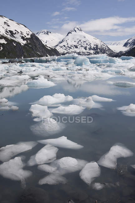 Icebergs Floating In Lake — Stock Photo