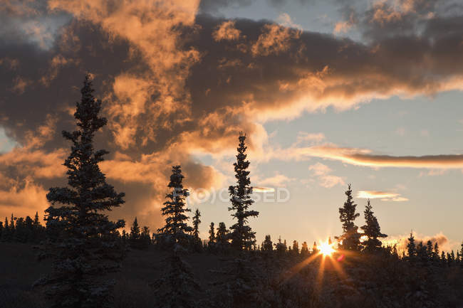 Dramatic clouds lit up at sunrise — Stock Photo