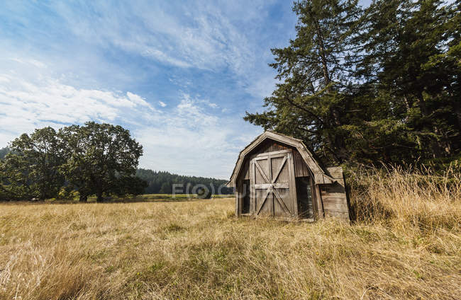Vecchia cabina abbandonata sull'isola del cavolo — Foto stock