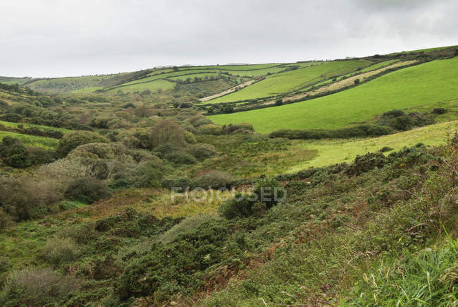 Пейзаж газонных полей, Ирландия — стоковое фото