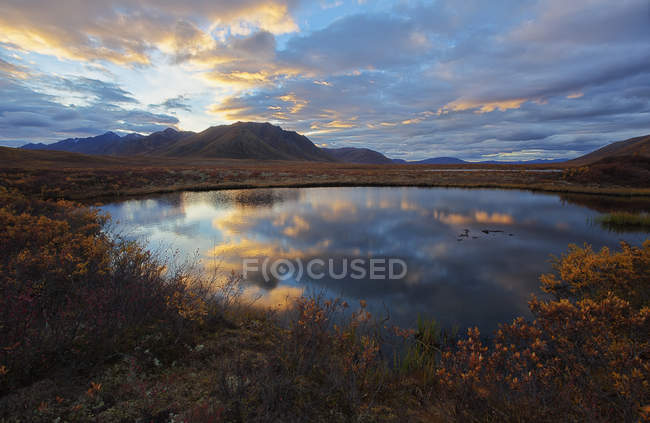 Nuvens de pôr do sol refletidas em pequena lagoa — Fotografia de Stock