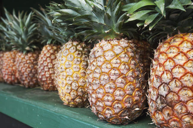 Pineapples displayed in window — Stock Photo