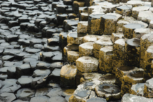 Каменные ступеньки, Ирландия — стоковое фото