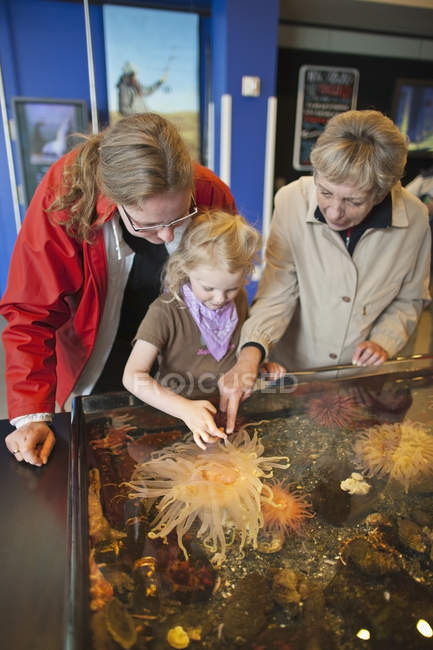 Grandmother With Daughter And Granddaughter Looking At The Tidepool Display — Stock Photo