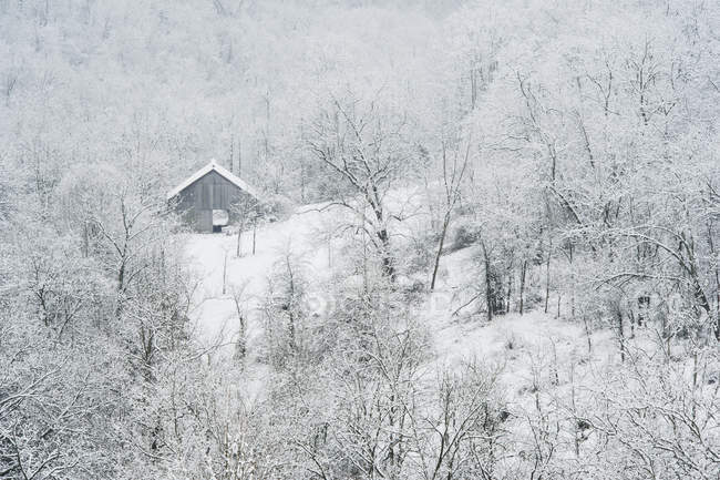 Granero rodeado de árboles y nieve en invierno - foto de stock