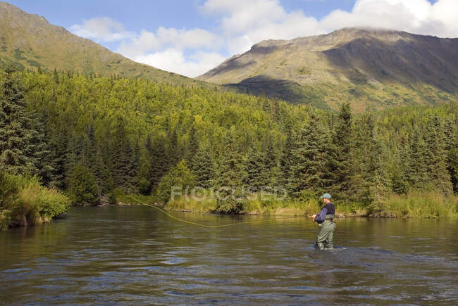 Fly Fisherman Casting per Dolly Varden Quartz Creek Kenai Peninsula Alaska Fall — Foto stock