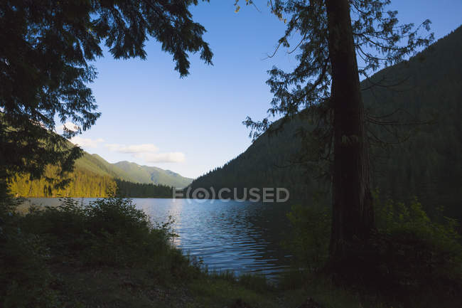 Davis Lake por baixo — Fotografia de Stock