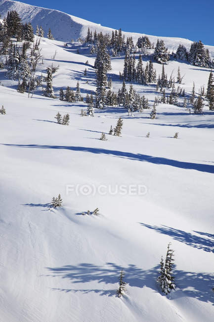 Свежий зимний снег на горе. капюшон — стоковое фото
