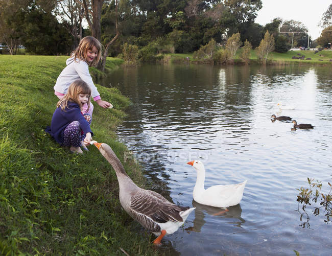 Two Young Girls Feed Birds At The Water's Edge; Currumbin Valley Gold Coast Queensland Australia — Stock Photo
