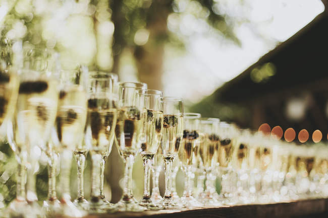 Glasses of champagne in row — Stock Photo