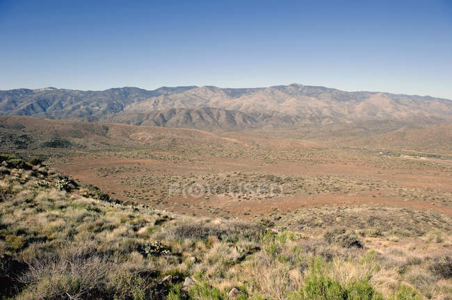 Belleza desierto paisaje - foto de stock