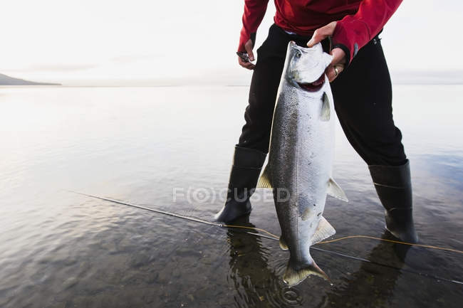 Pêche du saumon argenté — Photo de stock