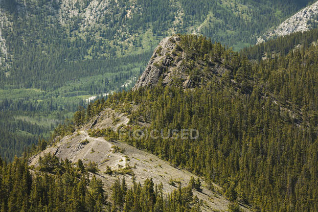 Olhando para baixo wasootch cume em montanhas rochosas — Fotografia de Stock