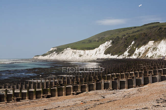 Concentration of groynes and beachy head — Stock Photo