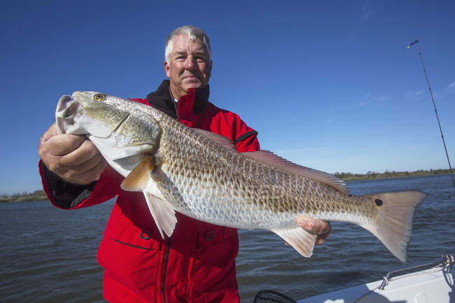 Человек держит красную рыбу. Венеция, Луиза, Соединенные Штаты Америки — стоковое фото