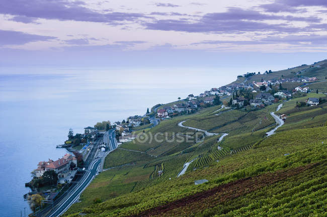 Weinberge rivaz Dorf und Genfersee — Stockfoto