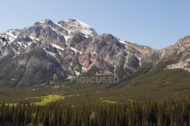 Піраміда гірського; Альберта, Канада — стокове фото
