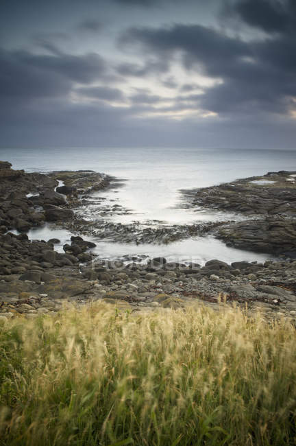 Рок і високій траві на узбережжі; Куріон-Бей, Південного острова, Нова Зеландія — стокове фото