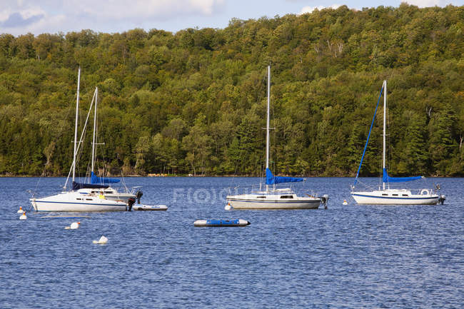 Tres barcos en el lago - foto de stock