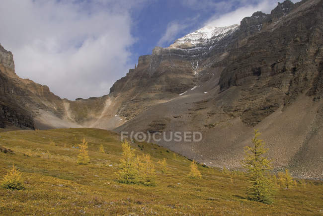 Sentinel Pass; Alberta — Stock Photo