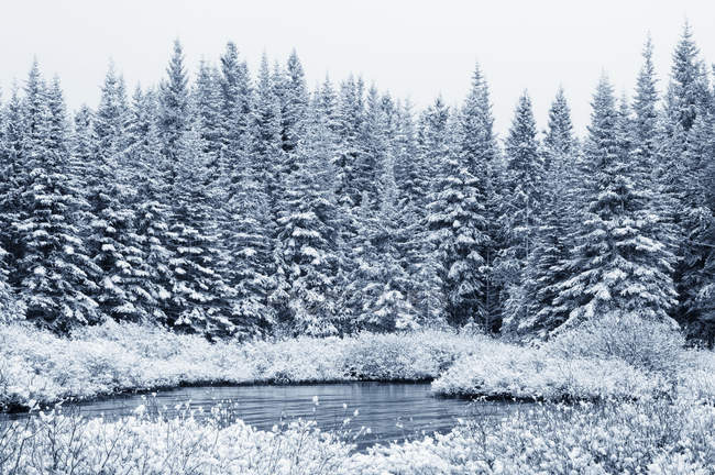 Eau du lac en hiver — Photo de stock