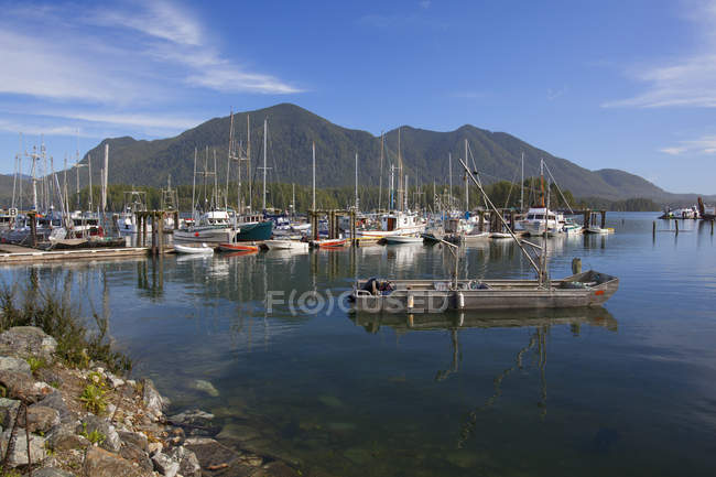 Dock with moored boats — Stock Photo