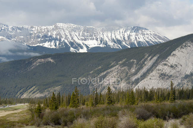 Канадские Скалистые горы — стоковое фото