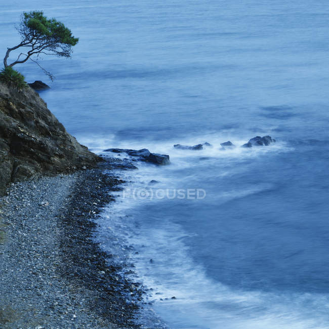 Изолированное дерево на скале — стоковое фото