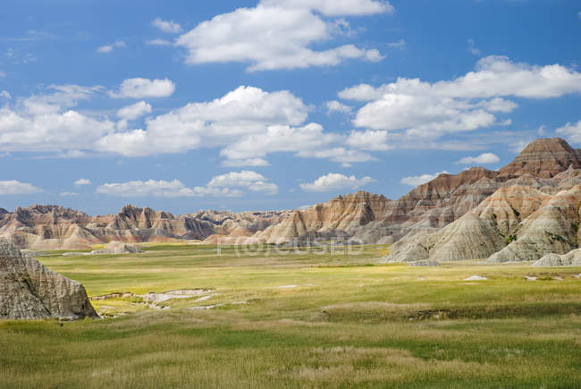 Красочный пейзаж с травой — стоковое фото