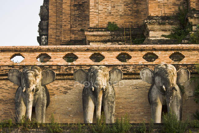 Três elefantes contra a construção — Fotografia de Stock