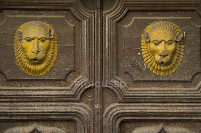 Facce di leone Decorare — Foto stock