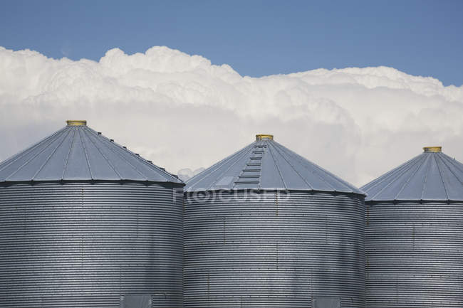 Три зерновых контейнера — стоковое фото
