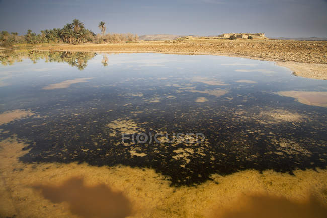 Agua salada sentada en el desierto - foto de stock