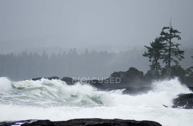 Des vagues s'écrasent contre un rivage rocheux — Photo de stock