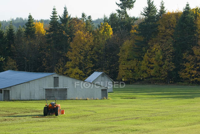 Um trator senta-se no campo — Fotografia de Stock