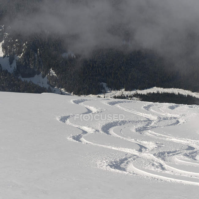 Ski Tracks In Snow — Stock Photo