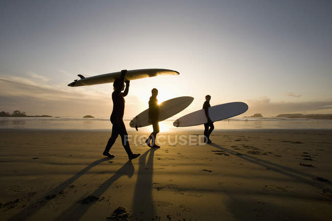 Silhouette von drei Surfern mit Surfbrettern — Stockfoto