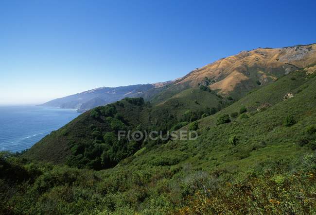 Hillside With The Ocean — Stock Photo