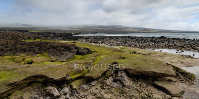 Roccia e muschio lungo la costa — Foto stock