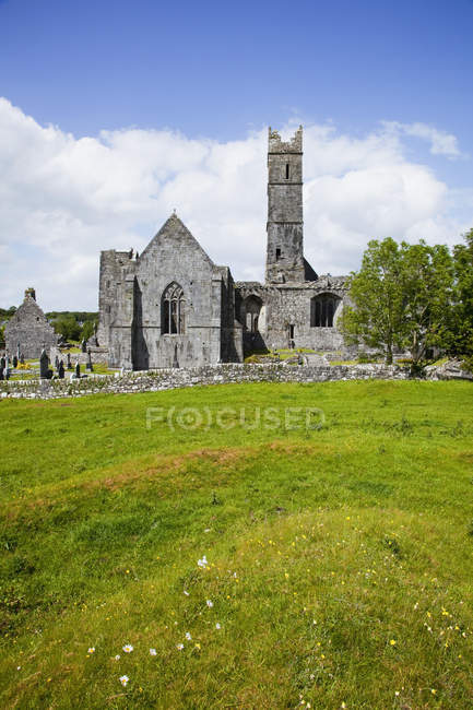 Quin Abbey on field — Stock Photo