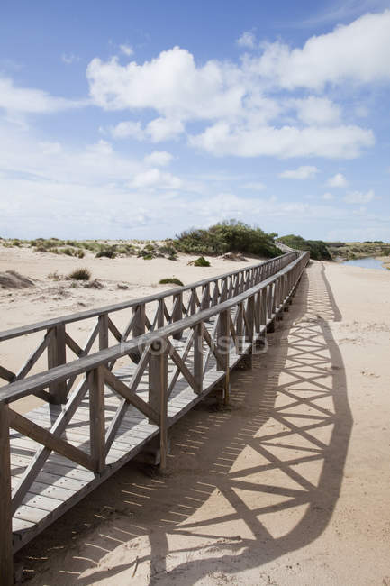 Passerella in legno tra le dune — Foto stock